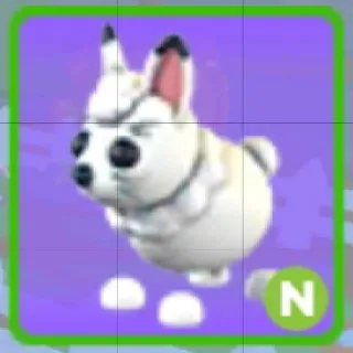 Neon Arctic Hare