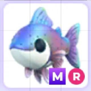 Mega Ride Rainbow Trout