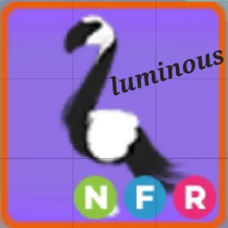 Neon FR Slimingo