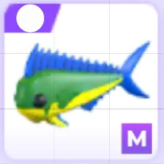 Mega Mahi-Mahi