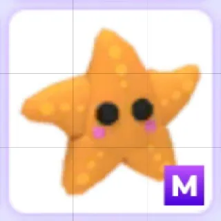 Mega Starfish