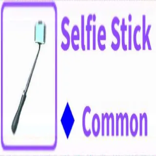 Selfie Stick