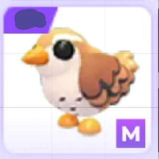 Mega Wren
