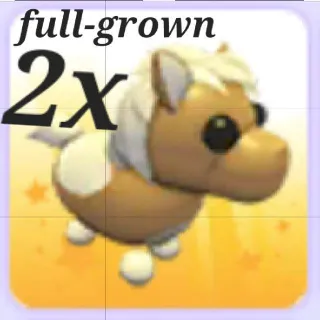 Shetland Pony Lite Brown