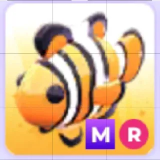 Mega Ride Clownfish