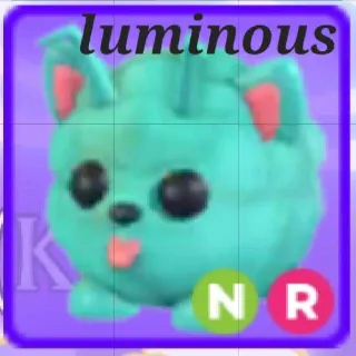 Neon Ride Puptune