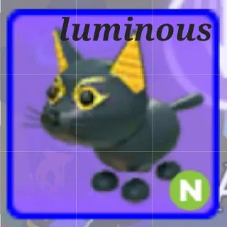 Neon Abyssinian Cat