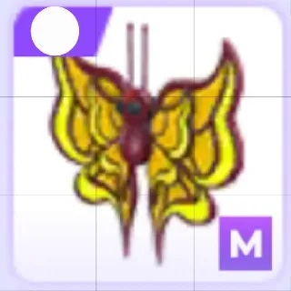 Mega Amber Butterfly