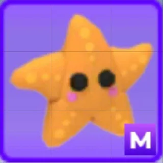 Mega Starfish