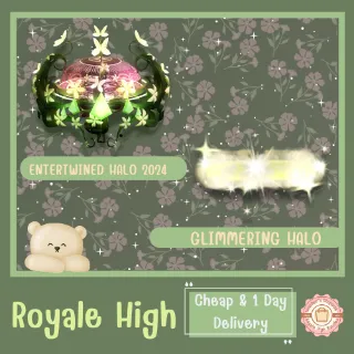ROYALE HIGH BUNDLE