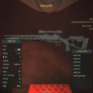 Nw Hunting Rifle