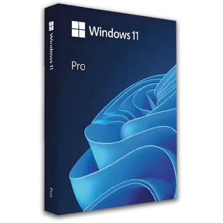 Windows 11 Pro