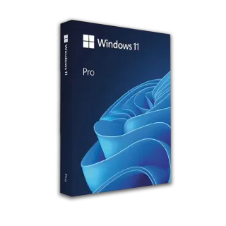 Windows 11 Professional