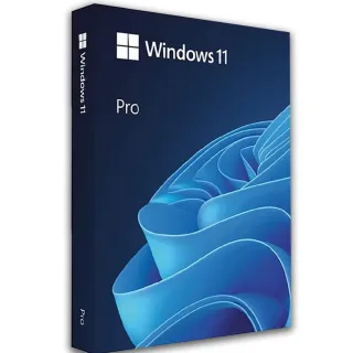 Windows 11 Professional