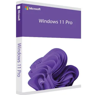 Windows 11 pro