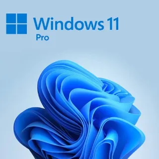 Windows 11 Professional