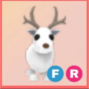 Arctic reindeer FR