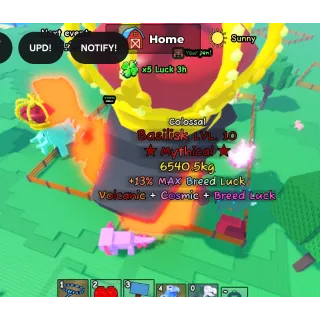 COLOSSAL BASILIK | CATCH AND TAME