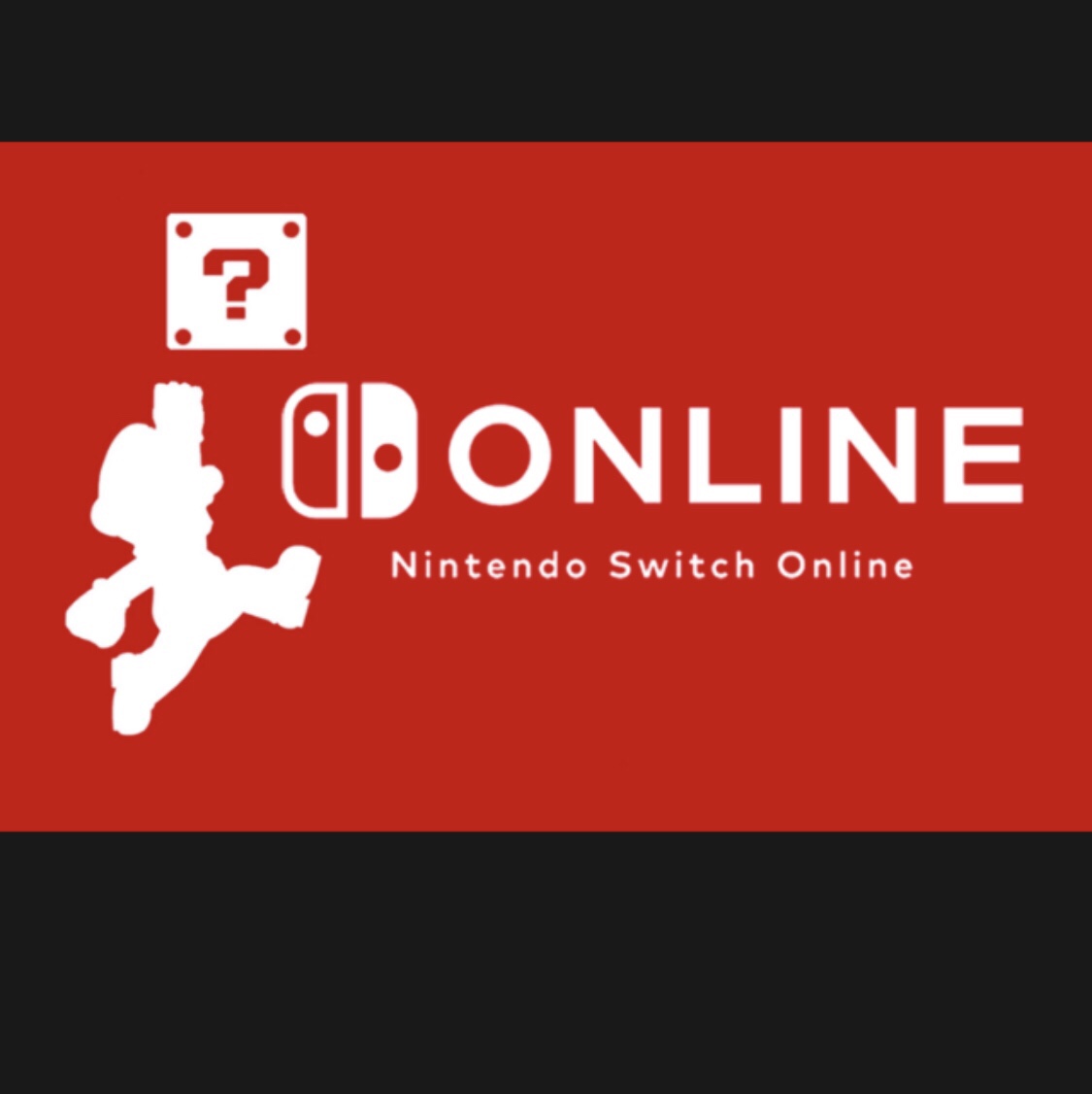 nintendo switch online 1 year