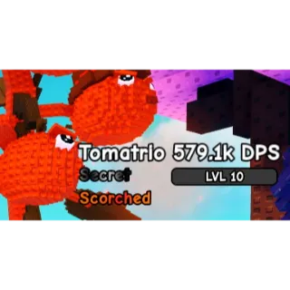 11.7KG TITANIC SCORCHED TOMATRIO