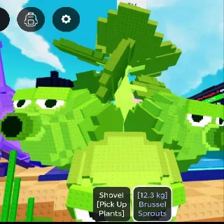 12.3KG BRUSSEL SPROUTS