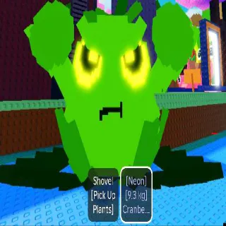 9.3KG TITANIC NEON CRANBERRLITO