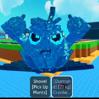 7.1KG TITANIC DIAMOND CRANBERRLITO