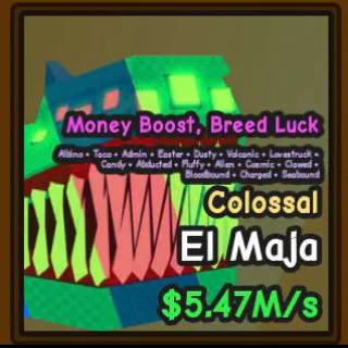 $5.47M/S COLOSSAL EL MAJA - CATCH AND TAME
