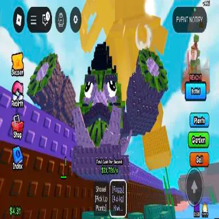 4.6KG FOGGY KIWI CANNONEER