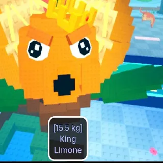 15.5KG KING LIMONE