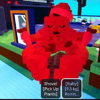 9.3KG RUBY ROAST CARROT STEW