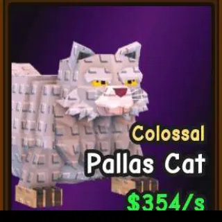 COLLOSAL PALLAS CAT
