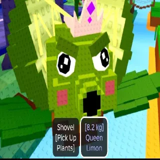 8.2KG QUEEN LIMON