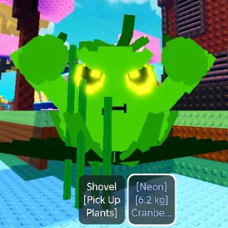 6.2KG TITANIC NEON CRANBERRLITO