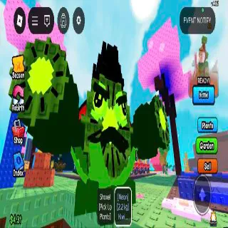 2.2KG NEON KIWI CANNONEER