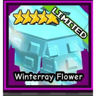 WINTERRAY FLOWER