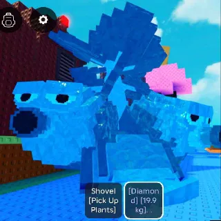 19.9KG TITANIC DIAMOND BRUSSEL SPROUTS