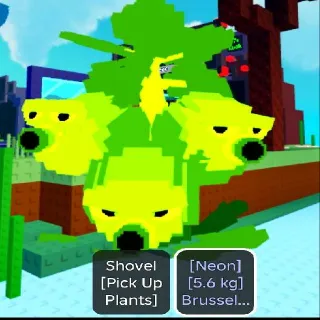 5.6KG NEON BRUSSEL SPROUTS