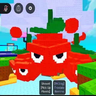 19.3KG FROSTALO BERRINO