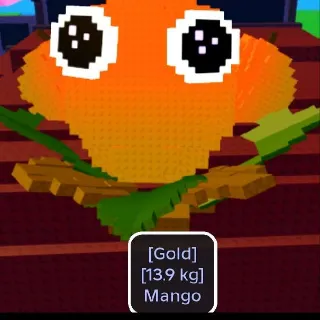 13.9KG GOLD MANGO