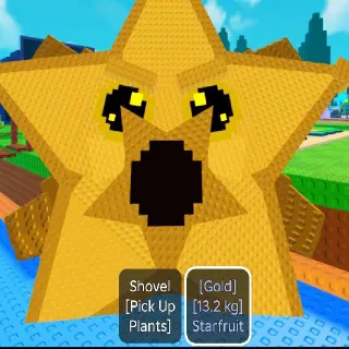 13.2KG TITANIC GOLD STARFRUIT