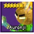 AURANJI 1X