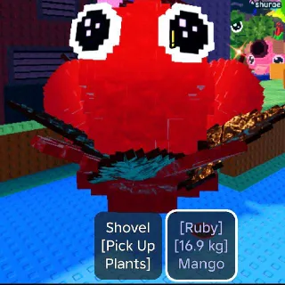 16.9KG TITANIC RUBY MANGO