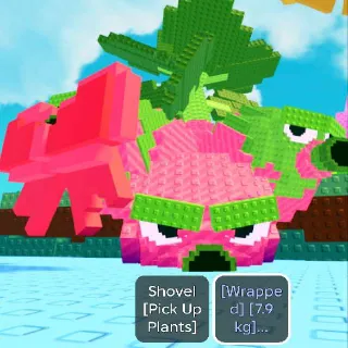 7.9KG TITANIC WRAPPED BRUSSEL SPROUTS