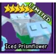ICED PRISMFLOWER