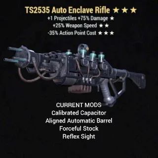 TS2535 Auto Enclave Rifle