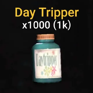 Day Tripper