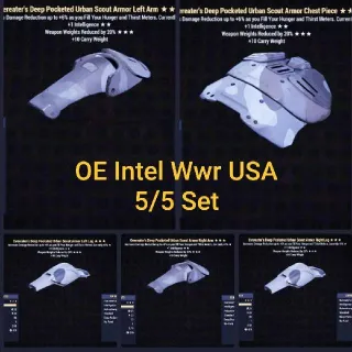 OE Intel Wwr USA 5/5 Full Set