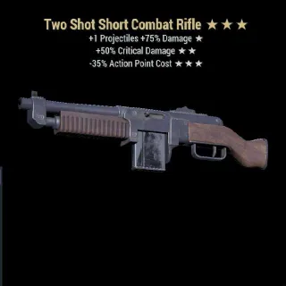 TS50c35 Combat Rifle