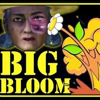 Big Bloom All 26 Plans & Recipes
